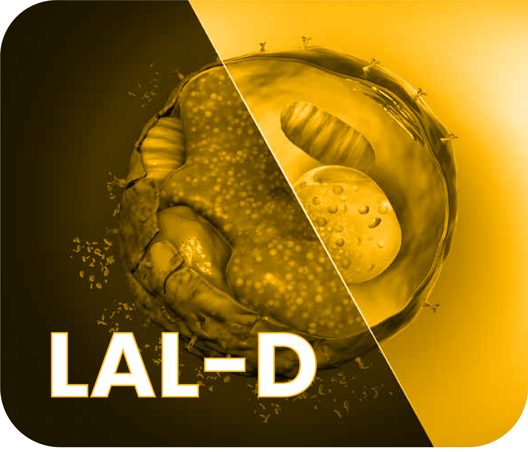 lal-d