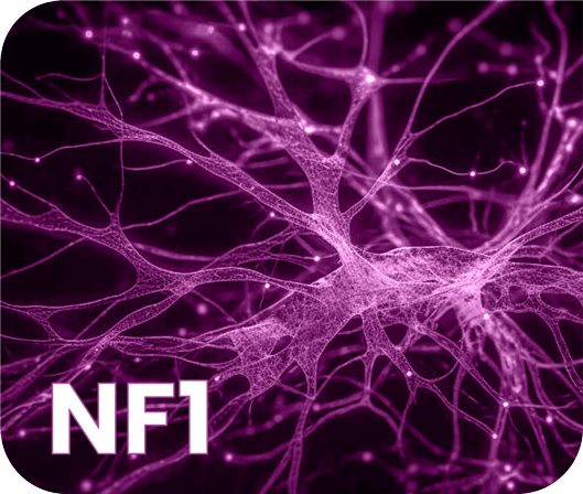 nf1